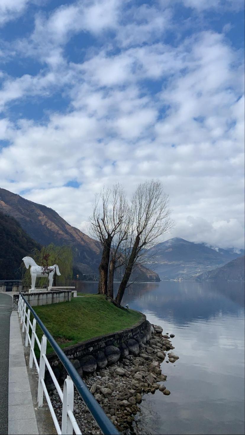 Casa Berlai, Bilocale Sul Lago Villa Pisogne Eksteriør bilde